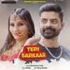About Teri Sarkaar Song